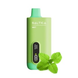 Saltica Digital 12000 Mint Kullan At: Yeşil, LED ekranlı elektronik sigara.
