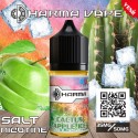 Dharma Cactus Apple Ice Salt Likit | Dharma Dharma Likit